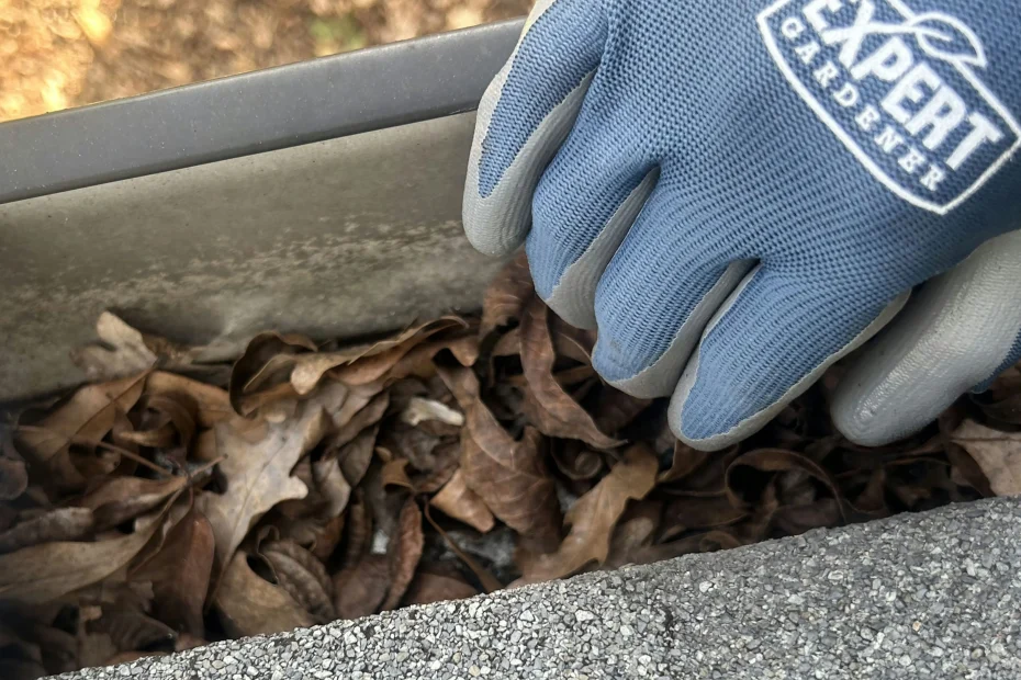 Gutter Cleaning Priceville