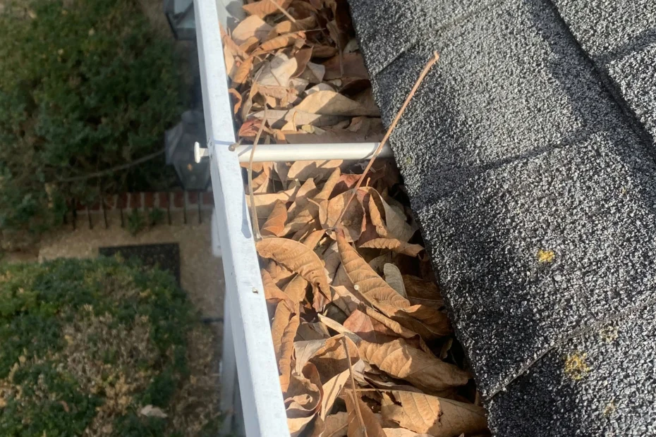 Gutter Cleaning Priceville