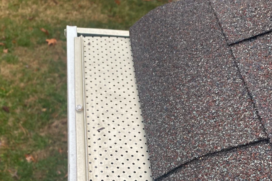 Gutter Cleaning Priceville