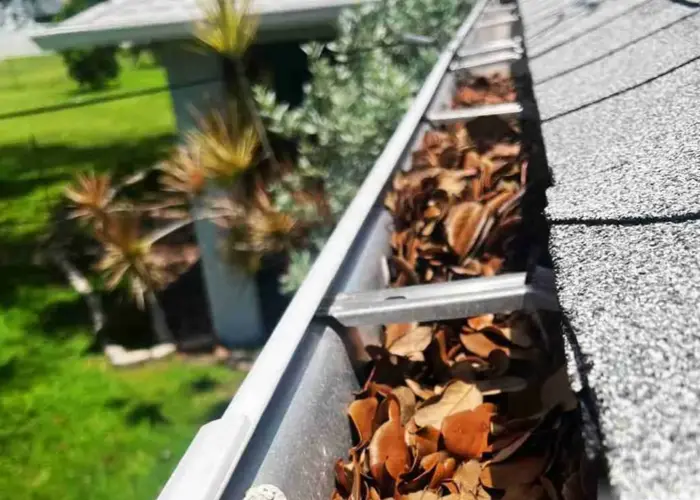 Gutter Cleaning Priceville home page